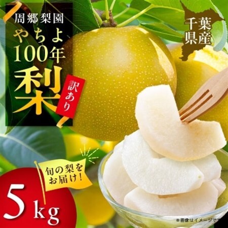 2026年発送先行受付 周郷梨園のやちよ100年梨家庭用(5kg)【1493891】