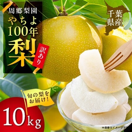 周郷梨園のやちよ100年梨家庭用(10kg)_周郷梨園 やちよ100年  梨 なし  家庭用_【1493893】