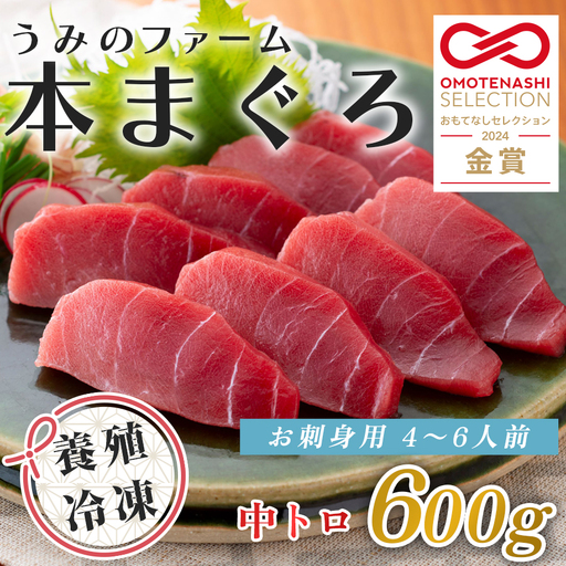 国産 養殖本マグロ 中トロ600g 刺身用 冷凍 柵 ギフト 贈答 産地直送 海鮮丼 寿司 御歳暮