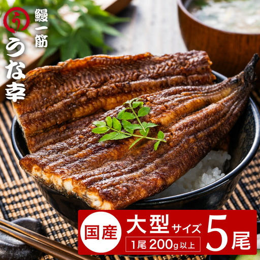 うな幸 国産うなぎ ふわとろ蒲焼き 大型5尾 特製タレ・山椒付き