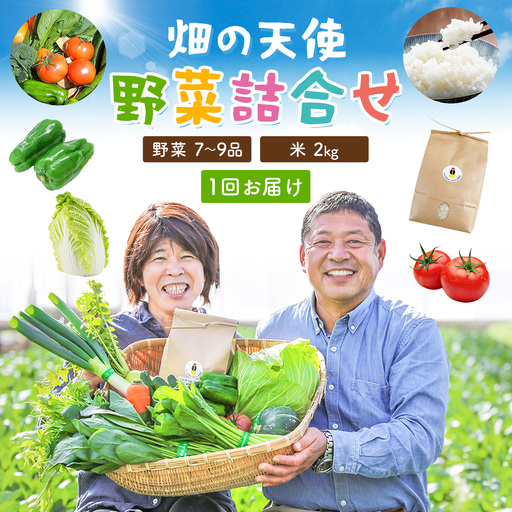 野菜 詰合せ 7～9品 米 2kg 1回《60日以内に出荷予定(土日祝除く)》畑の天使
