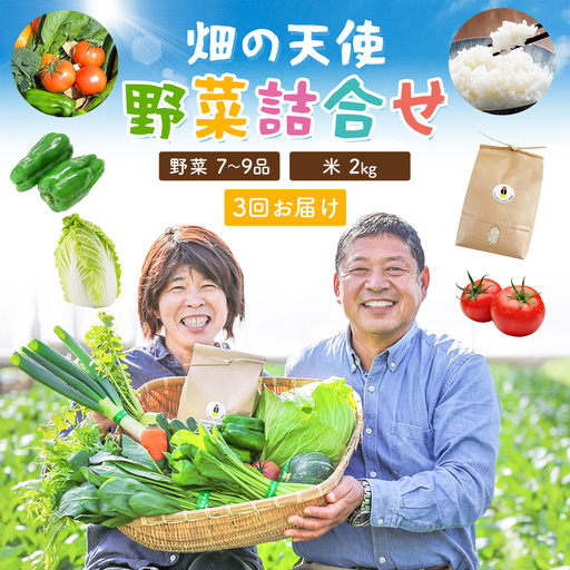 [3ヶ月定期便]野菜 詰合せ 7〜9品 米 2kg 3回[お申込み翌月から出荷] 畑の天使