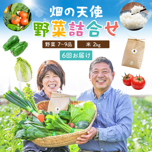 【6ヶ月定期便】野菜 詰合せ 7～9品 米 2kg 6回《お申込み翌月から出荷》 畑の天使