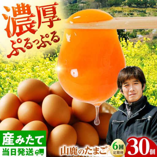 【全6回定期便】 たまご 30個 約2kg【マツヤマエッグファーム】[ZAW007]
