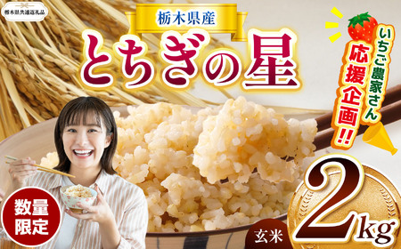 先行予約【令和8年度産】栃木県産とちぎの星 2kg | 【栃木県共通返礼品】 数量限定とちぎの星  玄米 米 ごはん  ふるさと納税 那珂川町 栃木県
