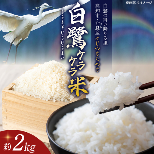 農薬節減! R8年度産 特別栽培米 白鷺ケラケラ米 にじのきらめき 約2kg [2026年9月中旬~発送] / 高知 米 お米 精米 [津ノ宮農園][ATBV003]