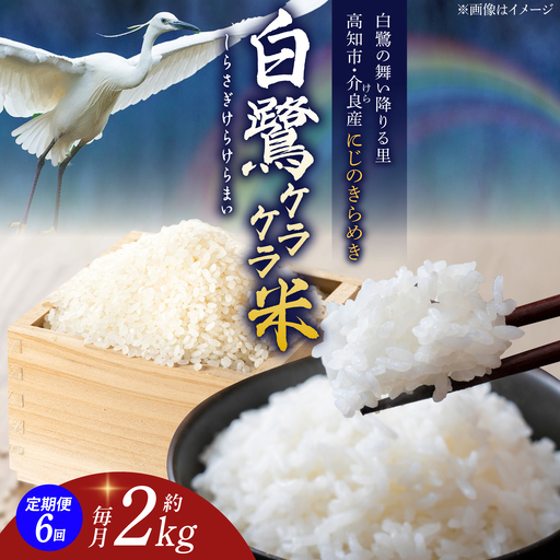 【6回定期便】 R8年度産 特別栽培米 農薬節減！ 白鷺ケラケラ米 にじのきらめき 各約2kg 合計約12kg / 高知 米 お米 精米 　【津ノ宮農園】[ATBV005]