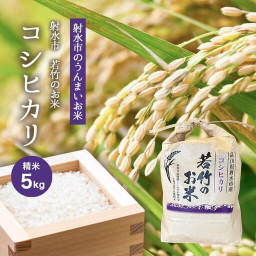 [R8年度産米 新米予約][人気のブランド米]コシヒカリ「若竹のお米 」 5kg[精米]