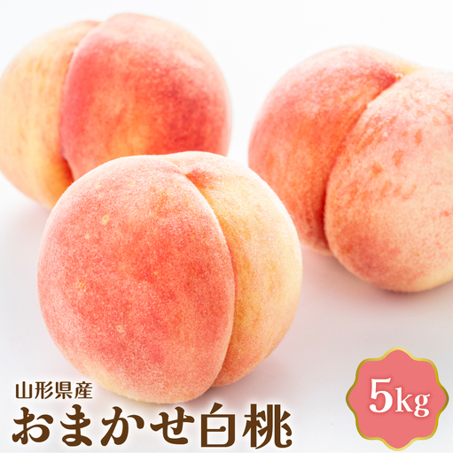 桃 白桃 5kg おまかせ 令和8年産 山形県産 桃 フルーツ