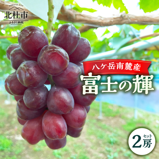 [2026年先行予約]八ケ岳南麓産「富士の輝」 [h262]