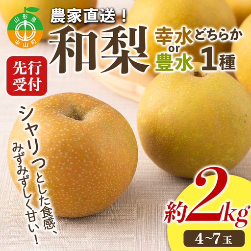 【2027年先行予約】農家直送「和梨」約2kg 中山町 渡辺ファーム 山形県産 梨 なし ナシ 果物 くだもの フルーツ F4A-0954