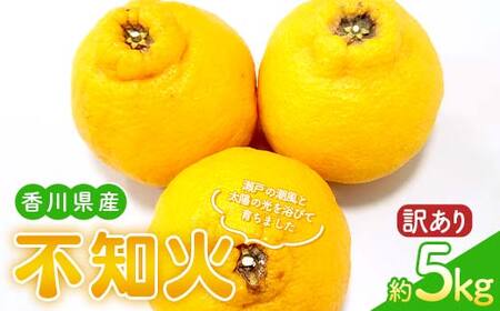 【先行予約 2027年2月～3月頃お届け】訳あり家庭用不知火(約5kg) しらぬい 柑橘 果物 香川 みかん F5J-955