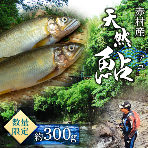 冷凍鮎　約300g 鮎 川魚  3E4