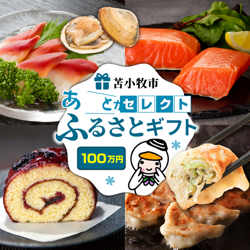 あとから セレクト 【 ふるさと ギフト 】 100万円 T000-000-20 肉 魚 野菜 チケット
