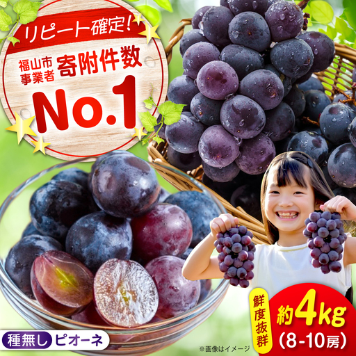[期間限定/8月下旬?9月上旬頃発送]ピオーネ 約2kg×2 8?10房 [BAEV006] ピオーネ
