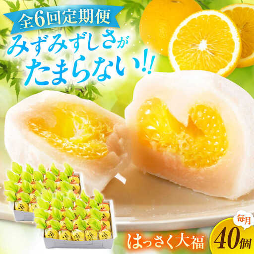 【6回定期便】はっさく大福20個入×2 [BADH035]大福