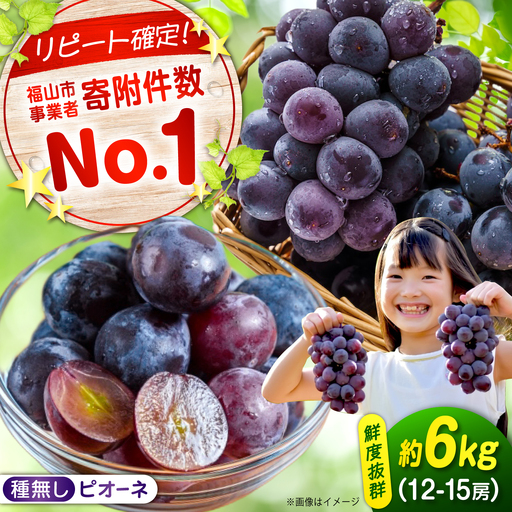 [期間限定/8月下旬〜9月上旬頃発送] 沼隈ぶどう「ピオーネ」 約2kg×3 12から15房(種なし) [BAEV007] ぶどう