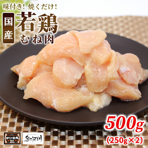 奥三河どり使用! 田口塩鶏 味付け むね肉 500g 塩ダレ ムネ肉 味付け肉 鶏肉 鶏 肉 キャンプ バーベキュー 味付け肉 大容量 手軽 焼くだけ 地鶏 焼肉 焼き鳥 -175