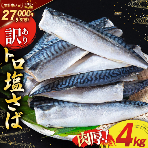 訳あり 塩サバ フィレ 4kg