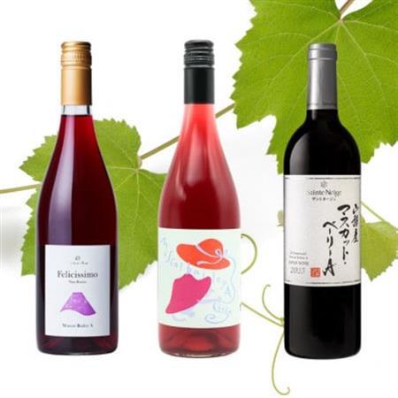山梨市産マスカットベーリーA　3本セット【1616273】