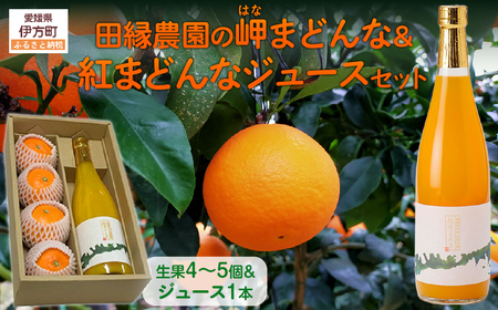 【先行予約】【数量限定】田縁農園の岬（はな）まどんな生果＆紅まどんなジュースセット （2026年12月10日より順次発送） IKTA004