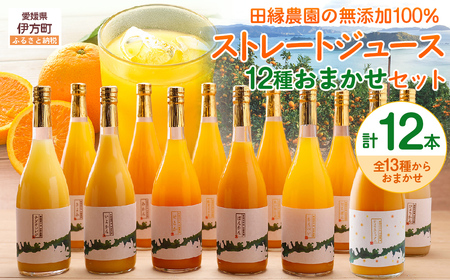 [数量限定][愛媛県産]田縁農園の無添加100% ストレートジュース12種おまかせセット 720ml 全12種