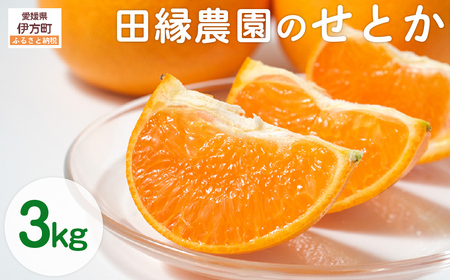 【先行予約】【数量限定】田縁農園のせとか3kg ※離島への配送不可 （2027年3月5日より順次発送） IKTA015