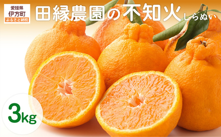 【先行予約】【数量限定】田縁農園の不知火（しらぬい）3kg ※離島への配送不可 （2027年2月10日より順次発送） IKTA018