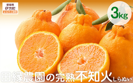 【先行予約】【数量限定】田縁農園の完熟不知火（しらぬい）3kg ※離島への配送不可 （2027年3月20日より順次発送） IKTA019