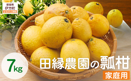 【先行予約】【数量限定】家庭用 瓢柑(7kg) 訳あり ※北海道・沖縄・離島への配送不可 （2027年4月1日より順次発送） IKTA021