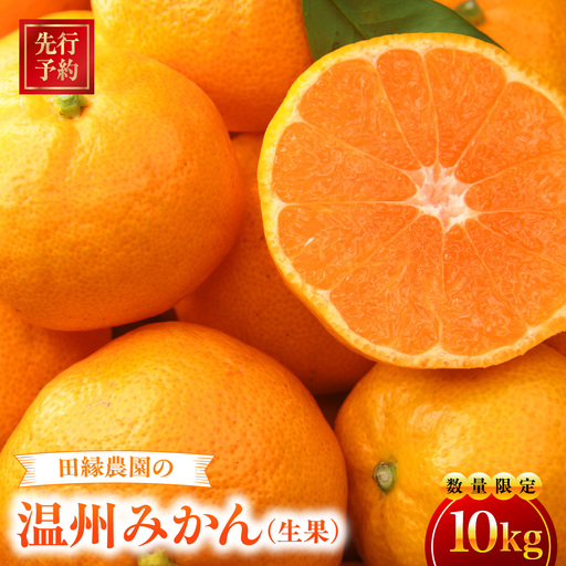[先行予約][数量限定]田縁農園の温州みかん(生果)10kg ※離島への配送不可 (2026年11月10日より順次発送)