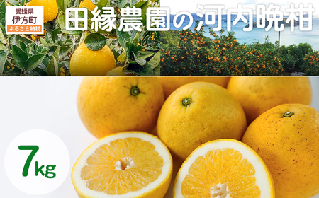 【先行予約】【家庭用】河内晩柑 7kg ※離島への配送不可 （2027年4月10日より順次発送） IKTA030
