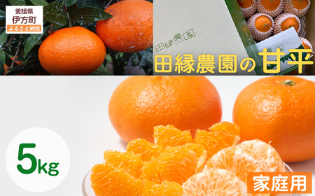 【先行予約】【家庭用】甘平 5kg ※離島への配送不可 （2027年1月25日より順次発送） IKTA031