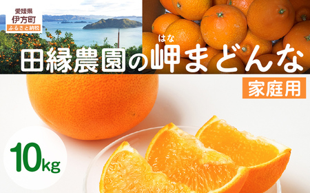 【先行予約】【家庭用】岬まどんな 10kg ※離島への配送不可 （2026年11月25日より順次発送） IKTA034