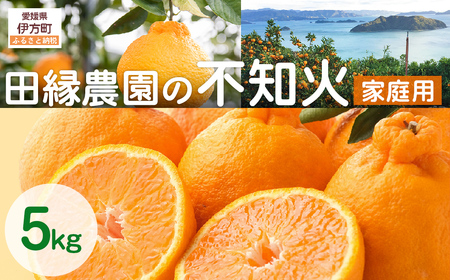 【先行予約】【家庭用】不知火 5kg ※離島への配送不可 （2027年2月10日より順次発送） IKTA035