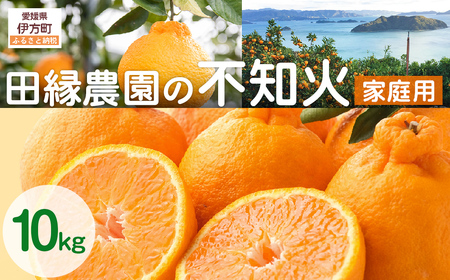 【先行予約】【家庭用】不知火 10kg ※離島への配送不可 （2027年2月10日より順次発送） IKTA036