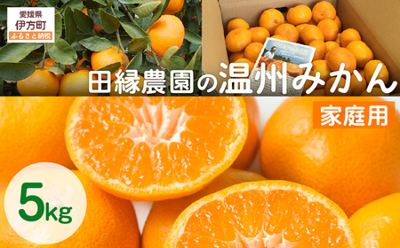 【先行予約】【家庭用】温州みかん 5kg ※離島への配送不可 （2026年11月10日より順次発送） IKTA039