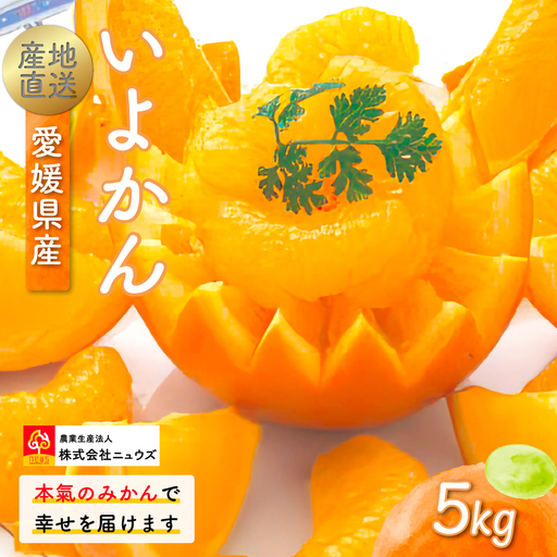 【先行予約】産地直送！愛媛県産いよかん 5kg（2027年1月中旬から発送予定） IKTF004