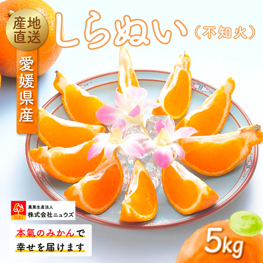 【先行予約】産地直送！愛媛県産しらぬい（不知火） 5kg（2027年2月中旬より順次発送） IKTF017