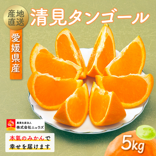 【先行予約】産地直送！愛媛県産清見タンゴール 5kg（2027年2月上旬より順次発送） IKTF022