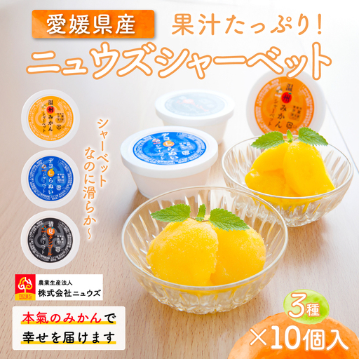 果汁たっぷり！シャーベットなのに滑らかな口当たりニュウズシャーベット3種10個 ※離島への配送不可  IKTF025