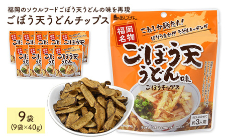 ごぼう天うどんチップス (9袋・1袋40g) 野菜 ゴボウ 牛蒡 おつまみ おやつ お菓子 おかし スナック 常温 【man313】【味源】