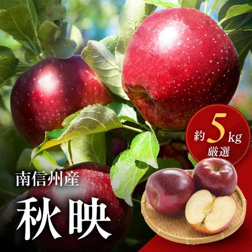 長野県産 りんご 秋映 約5kg [2026年9月下旬〜発送]