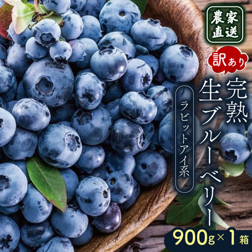 [先行予約]訳あり完熟生ブルーベリー ラビットアイ系 900g (2026年7月〜発送) | フルーツ 果物 ベリー