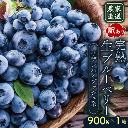 【先行予約】訳あり完熟生ブルーベリー サザンハイブッシュ系 900g (2027年4月～発送) | フルーツ 果物 ベリー