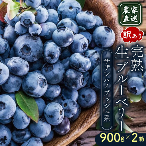 【先行予約】訳あり完熟生ブルーベリー サザンハイブッシュ系 1800g (2027年4月～発送) | フルーツ 果物 ベリー