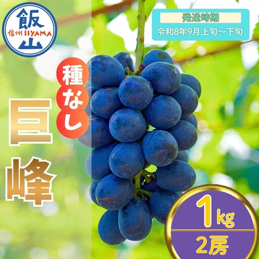 巨峰〈種なし〉 約1kg（2房）【2026年9月上旬より発送 先行予約】At-005