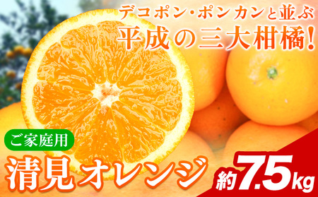 【ご家庭用】 清見 オレンジ 約7.5kg オレンジ