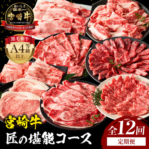 [定期便全12回]宮崎牛 匠の堪能コース 宮崎牛 黒毛和牛 切り落とし 赤身 しゃぶしゃぶ ロース カルビ 焼き肉 焼肉 スライス ステーキ 冷凍 毎月 定期便