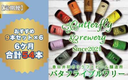 楽器シリーズのクラフトビールが毎月１回9本半年間届きます。（計６回） クラフトビール  クラフトビール 定期便